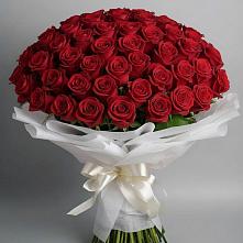 Букет 101 Красная роза Блэк Мэджик #REPLACE_PRED# Бжедугхабле