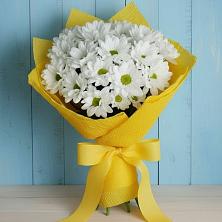 Букет цветов из:  Хризантемы в Бжедугхабле