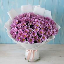 Букет цветов из:  Хризантемы в Бжедугхабле