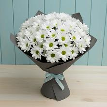 Букет цветов из:  Хризантемы в Бжедугхабле