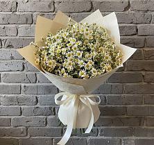 Букет цветов из:  Ромашки #REPLACE_PRED# Бжедугхабле