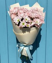 Букет цветов из:  Хризантемы #REPLACE_PRED# Бжедугхабле