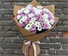 Букет цветов из:  Хризантемы в Бжедугхабле