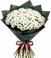 Букет цветов из:  Хризантемы в Бжедугхабле