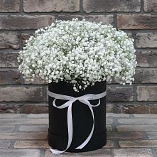 Цветочная композиция из Гипсофила в шляпной коробке в Бжедугхабле