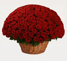 Премиум букет из: Розы #REPLACE_PRED# Бжедугхабле