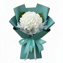 Букет цветов из:  Гортензия в Бжедугхабле
